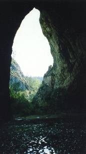 На выходе из пещеры
	(16.2КБ)