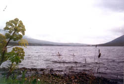 Озеро Большое Балабанты